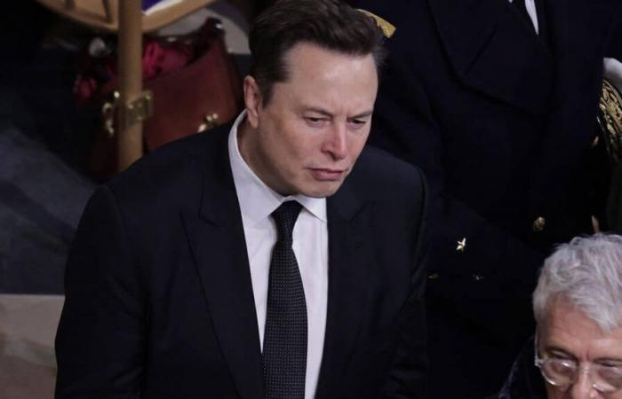 Musk übt seinen Einfluss in Europa aus, immer zugunsten der extremen Rechten