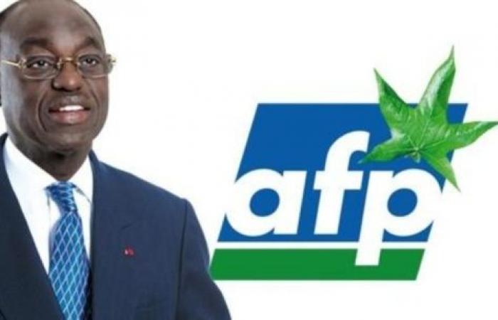 Rationalisierung der Parteien: AFP bietet Lösungen