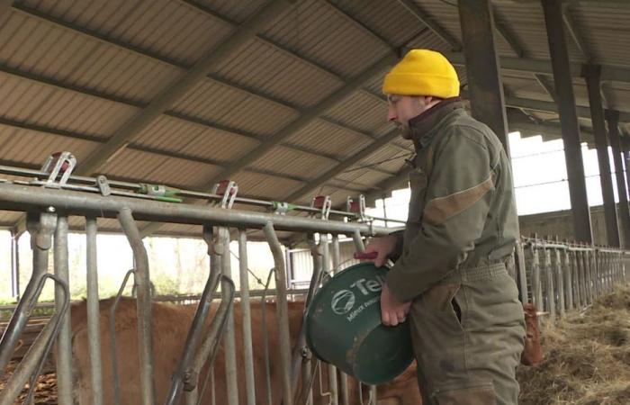 Zwei Schlachtbetriebe im Konflikt, Landwirte besorgt