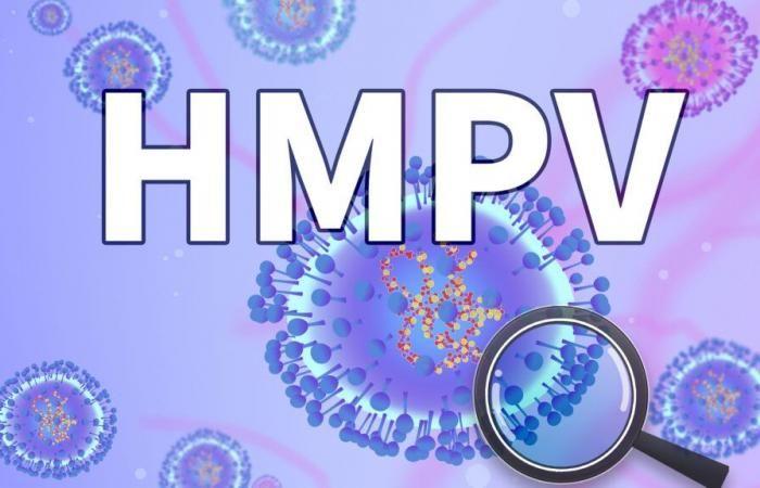 China verzeichnet einen Anstieg der HMPV-Infektionen, aber es handelt sich nicht um ein „neues Virus“