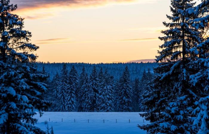 Die Quecksilbertemperatur erreichte an der Schweizer Grenze -31,1°C und erreichte fast den Rekord von 2013