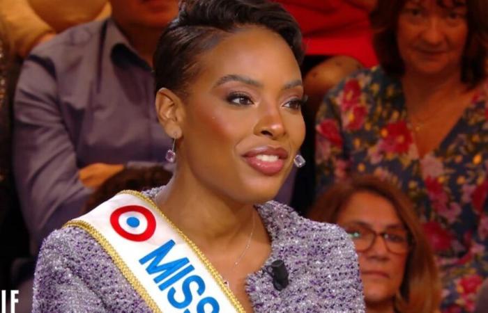 Angélique Angarni-Filopon, Miss France 2025, Opfer von Cyberbelästigung