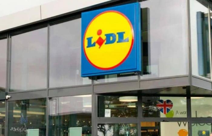 LIDL und ACTION zeigen sich mit der Einführung dieses neuen Discounters am schlimmsten