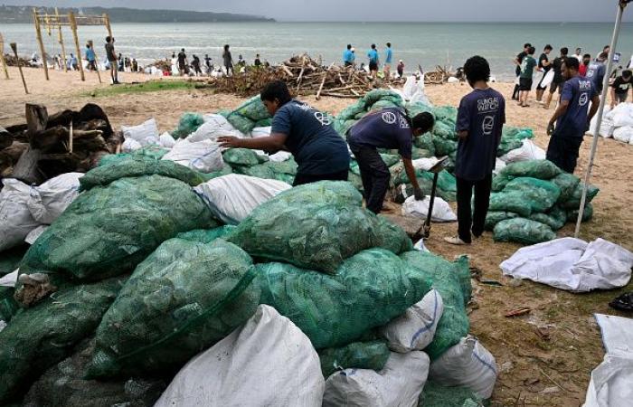 Große Säuberungsaktion an Stränden, die von einer der „schlimmsten“ Plastikmüllstrandungen heimgesucht wurden