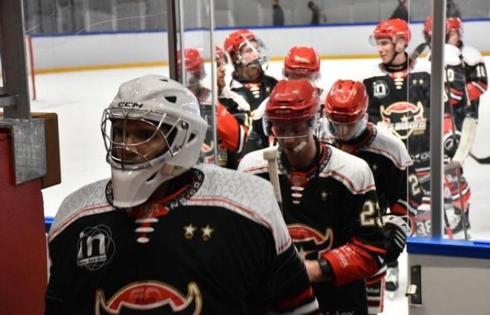 Erleben Sie noch einmal das Eishockeyspiel zwischen Neuilly-sur-Marne und Dünkirchen, das auf der Eisbahn von Dreux ausgetragen wurde