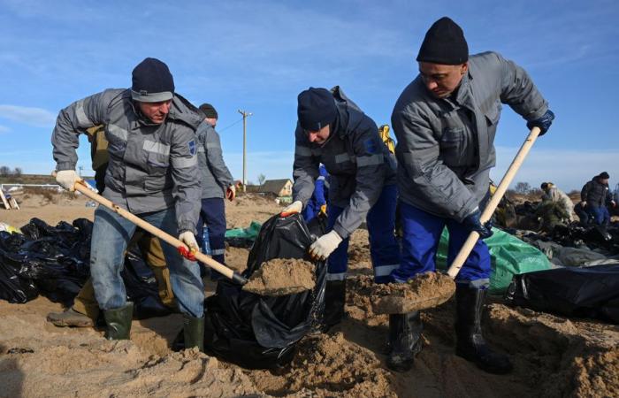 Ölpest in Russland | Mehr als 30 Wale im Schwarzen Meer tot aufgefunden