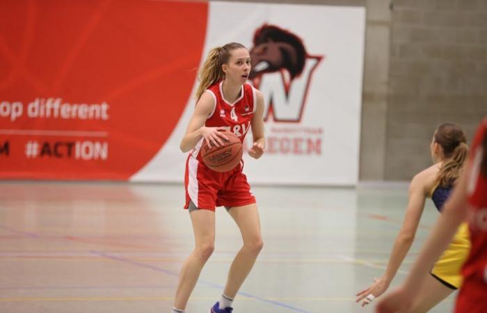 Waregem bietet sich ein Top-4-Team an, Braine bewarb sich gegen Namur – Postup.fr