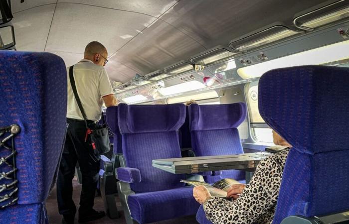 Ab Mittwoch können SNCF und RATP die Adressen von Straftätern überprüfen