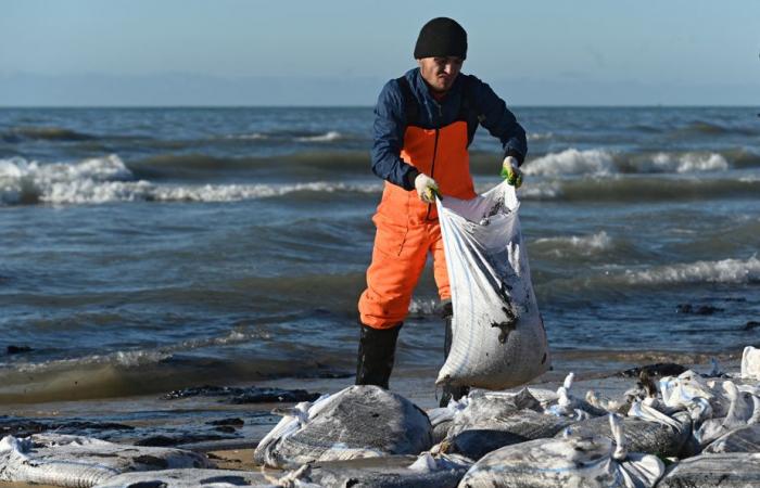 Ölpest in Russland | Mehr als 30 Wale im Schwarzen Meer tot aufgefunden