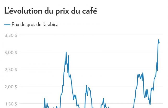 Warum die Kaffeepreise (wieder) in die Höhe schnellen