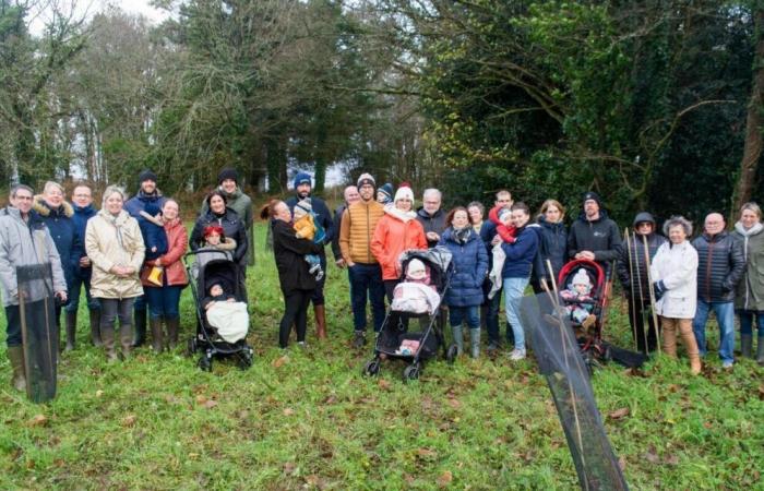 Finistère. Im Geburtsort gibt es so viele Bäume wie Kinder und das ist gut für das Klima