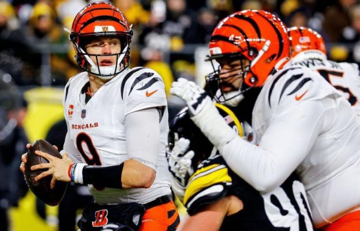 Die Bengals halten ihre Playoff-Hoffnungen mit einem Sieg am Leben und warten auf das Schicksal am Sonntag