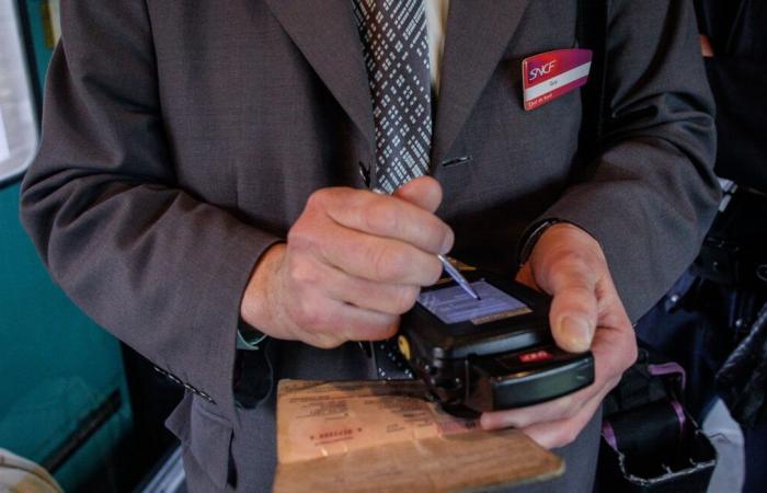 Ab Mittwoch können die SNCF und die RATP die Adressen von Straftätern überprüfen