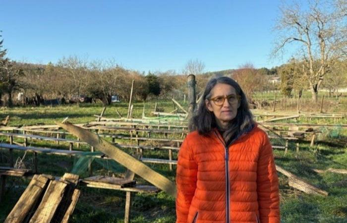 Die Schneckenfarm soll wieder aufgebaut werden