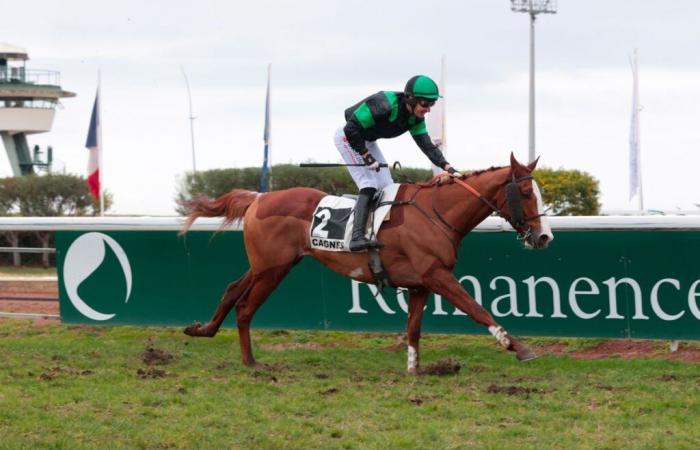 Lucky Nonanta ist im Prix Christian de l’Hermite hartnäckig