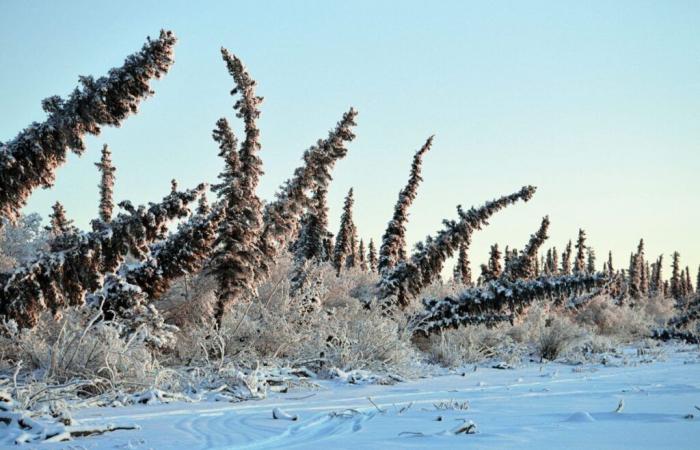 Der arktische Permafrost taut. Hier erfahren Sie, was es für den Norden Kanadas – und den Rest der Welt – bedeutet