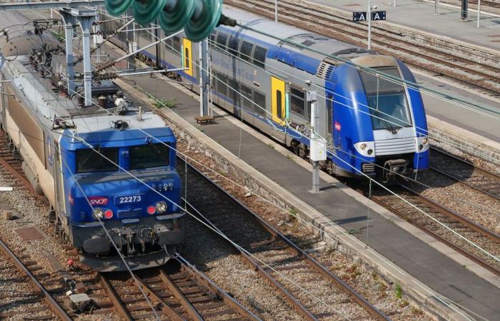 Wetterbericht. Welche Züge werden aufgrund der Depression von Floriane an diesem Montag, dem 6. Januar, in Hauts-de-France nicht fahren?