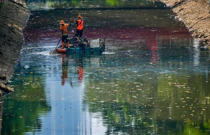 Große Säuberungsaktion an Stränden, die von einer der „schlimmsten“ Plastikmüllstrandungen heimgesucht wurden