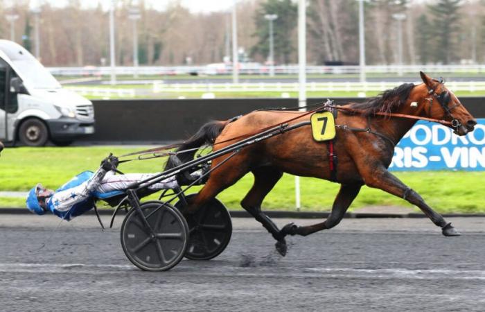 PMU – Ankunft der Quinté am Sonntag, 5. Januar in Vincennes: Jack Tonic sorgt dafür