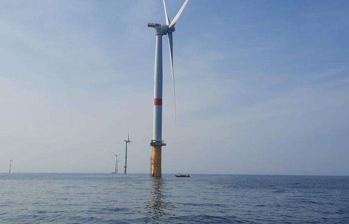 Das Windparkprojekt vor der Küste von Dünkirchen ist in Belgien heftig umstritten