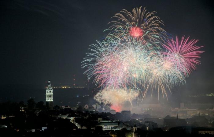 Belgien plant, Feuerwerk landesweit zu verbieten