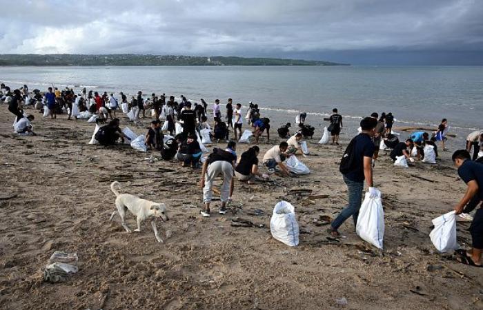 Große Säuberungsaktion an Stränden, die von einer der „schlimmsten“ Plastikmüllstrandungen heimgesucht wurden