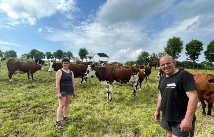 „Der Beitritt zur Dephy-Gruppe ist eine echte treibende Kraft für unsere Zucht in Cantal.“