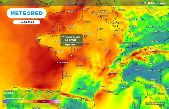 Unsere Karten bestätigen die heftigen Windböen! Welche Regionen sind betroffen?