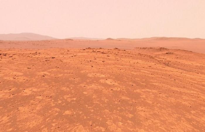 Endlich wissen wir, wo wir auf dem Mars nach Leben suchen müssen