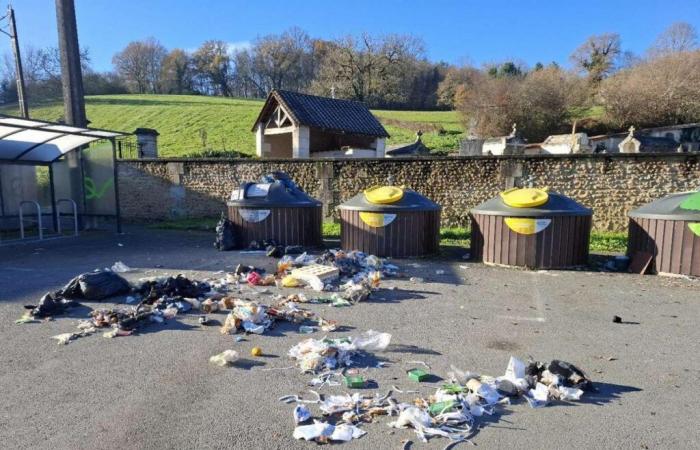 Abfallsammlung in der Dordogne: Können wir anders vorgehen?