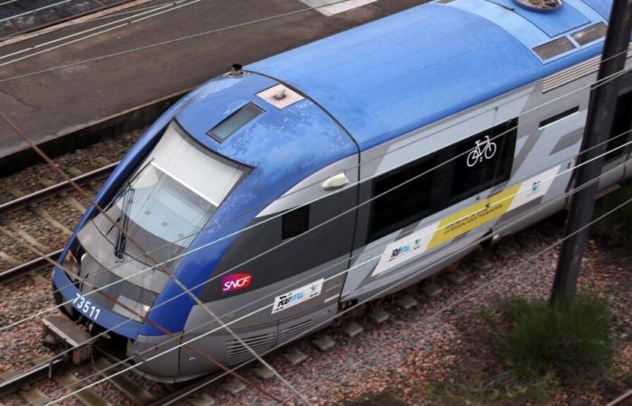 Züge fallen wegen Sturm Floriane aus