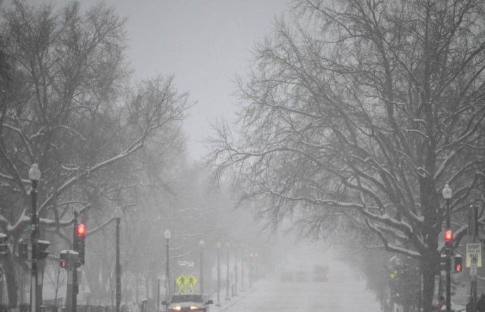 VIDEO. Komische Unfälle, Ausnahmezustand … Die Vereinigten Staaten wurden von einem schweren Wintersturm heimgesucht, 60 Millionen Menschen sind betroffen