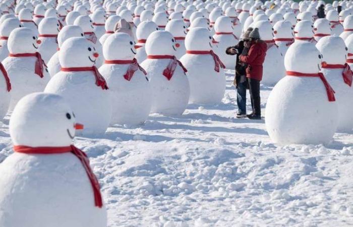 Die Schneekönigin im echten Leben … Sehen Sie die Dingo-Skulpturen beim Harbin Ice Festival, China