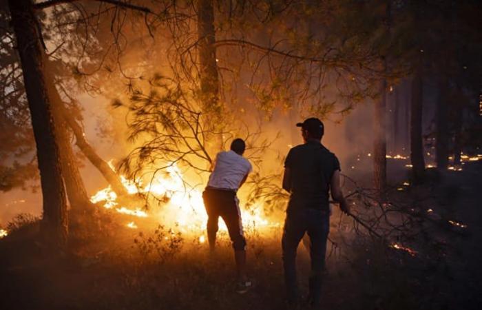 In Tetouan wurde ein Wald durch Flammen zerstört