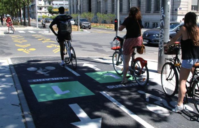 Vier Verbände klagen gegen Voie Lyonnaise 12 vor dem Verwaltungsgericht