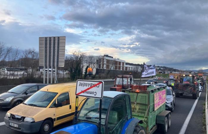 VIDEOS. „Wir wurden für Idioten gehalten“, versperren die Rhône-Bauern die südlichen Zufahrten nach Lyon