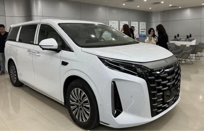 Der BYD Xia PHEV-Minivan erreichte die Händler noch vor der Markteinführung