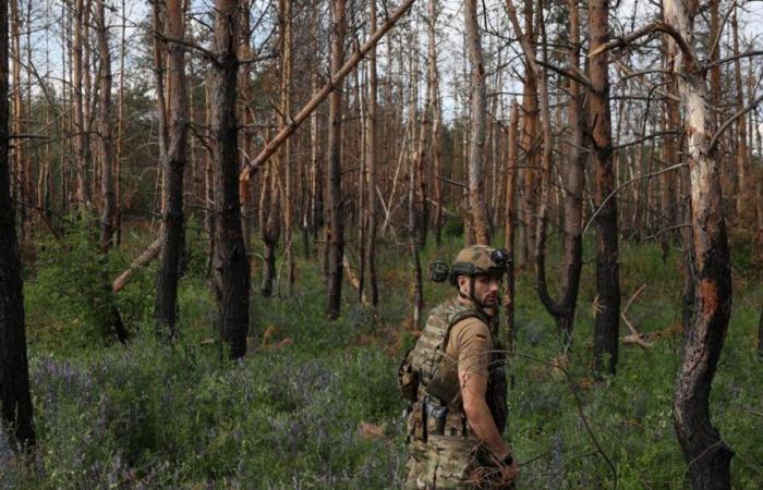 Wie wir wissen, wurde die in Frankreich gebildete Brigade „Anne de Kyiv“ von einer Welle von Desertionen heimgesucht