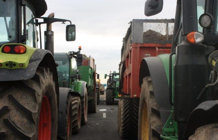 Verfolgen Sie die Mobilisierung der Bauern live