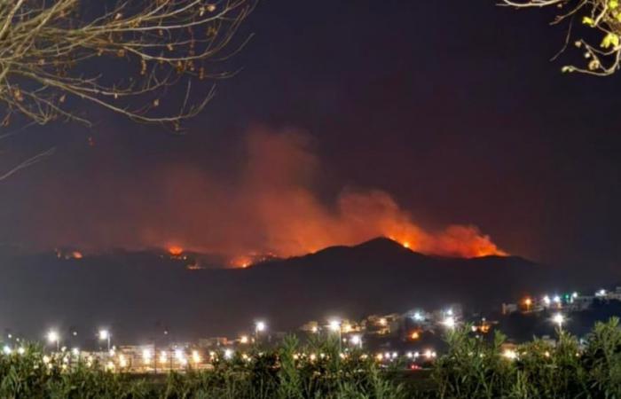 Ein Feuer verwüstet mehr als 100 Hektar Wald in der Nähe von Tetouan