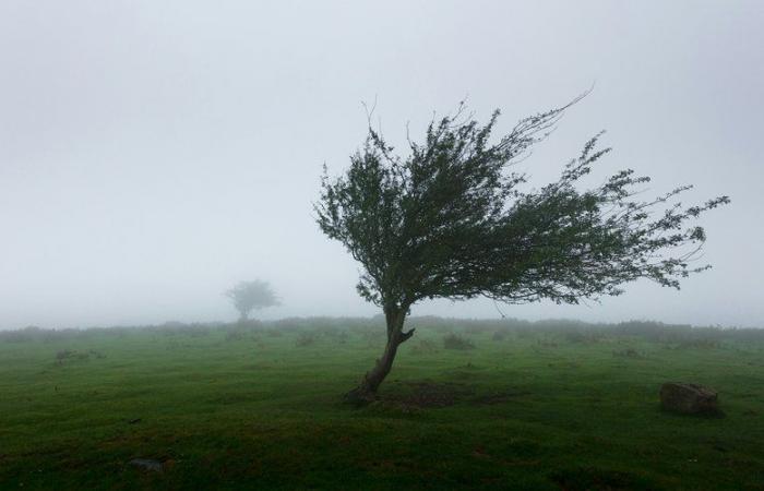 14 Departements in Alarmbereitschaft, das Tief breitet sich schnell, aber intensiv von der Vendée über die Ile-de-France bis zu den Ardennen aus