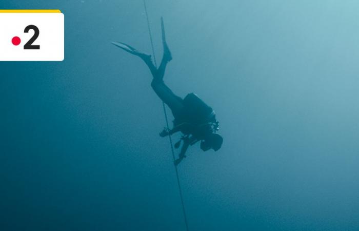 Hat Fleur Geffrier wirklich unter Wasser gefilmt? – Nachrichtenserie im Fernsehen