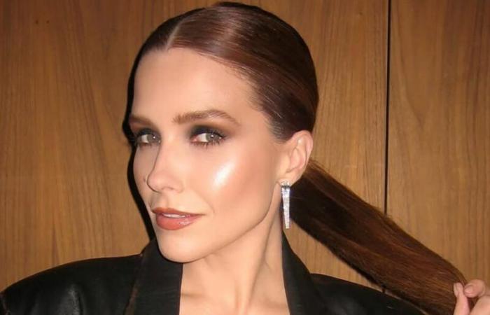 „Ich bin außer Atem!“ Sophia Bush enthüllt ihr Outfit für die Golden Globes, ihre Partnerin Ashlyn Harris ist verzaubert (FOTOS)