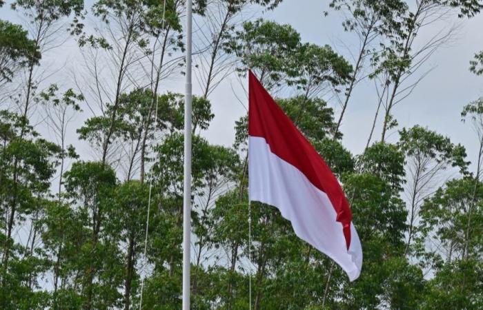 Brasilien kündigt den Beitritt Indonesiens zur Gruppe der Schwellenländer an