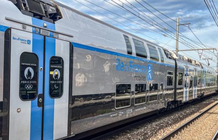 Störungen im RER und Transilien angekündigt