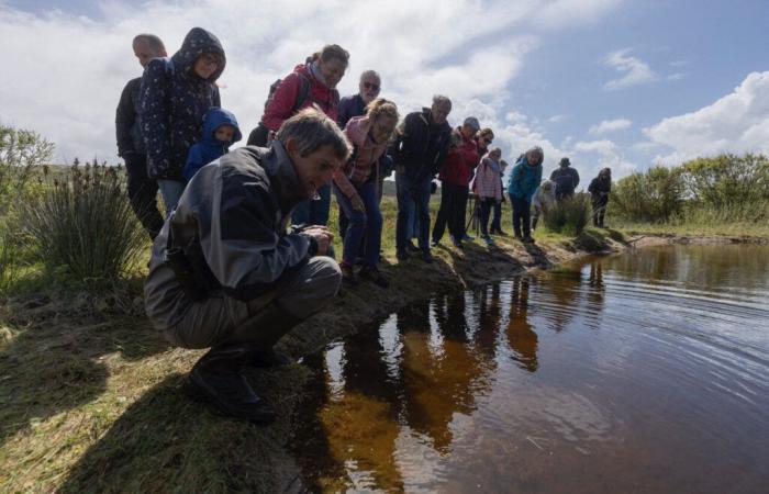 In dieser Stadt im Cotentin findet Ende Mai das Naturfestival statt