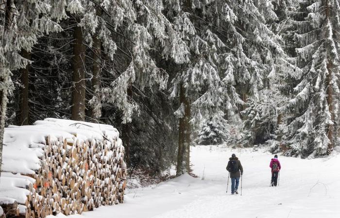 Starker Schneefall sorgt für Störungen in ganz Europa, die USA bereiten sich auf starken Schneefall vor