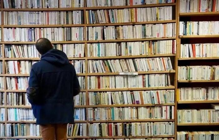 Hier sind die zehn meistverkauften Bücher in Frankreich im Jahr 2024