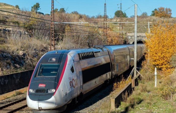 Ab Mittwoch können die SNCF und die RATP die Adressen der Straftäter überprüfen, um sicherzustellen, dass die Geldbuße bezahlt wird