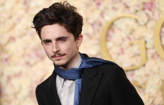 Witze von Timothée Chalamet und Momente auf dem roten Teppich bei den Golden Globes 2025